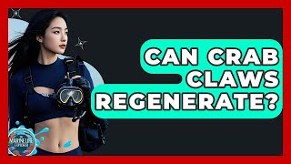 Can Crab Claws Regenerate? - The Marine Life Explorer
