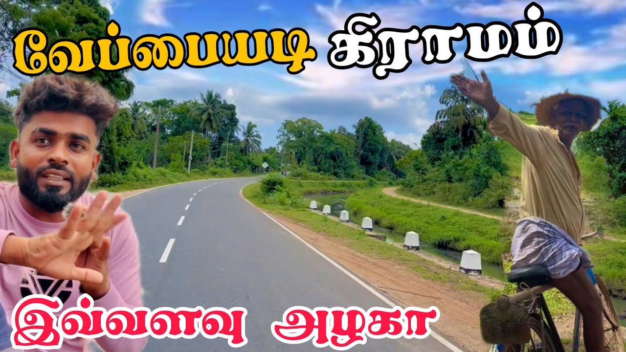 வேப்பையடி கிராமம்  இவ்வளவு அழகா | Pk vlogs Tamil | batticaloa | Sri Lanka village #batticaloa #2025