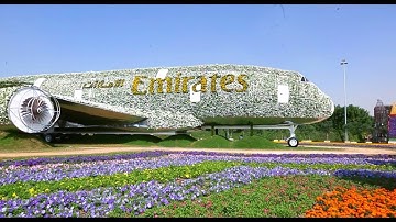 Happy World Environment Day | Emirates Airline