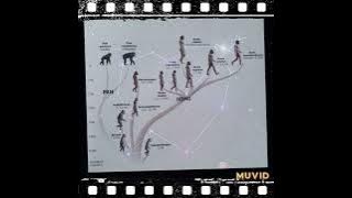 PJ POWERS ✨️✨️✨️HOME TO AFRICA   ✨️✨️✨️ RADIO AND WEASEL ✨️✨️✨️  UGANDA MUSIC ✨️✨️✨️