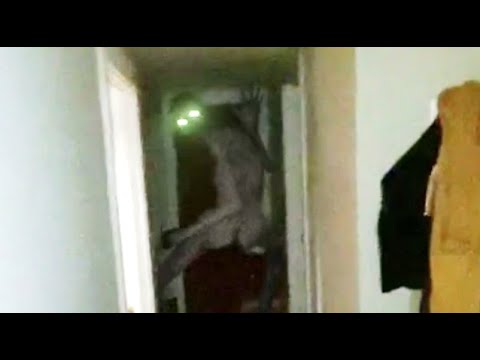Cursed Breakdown How To Make A Cursed Video Youtube Cursed Breakdown How To Make A Cursed Video Youtube