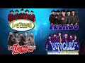 100% Norteñas, Corridos y Rancheras Para Pistear Tigres del Norte,Huracanes del Norte,Ramón Ayala