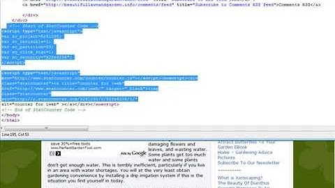How To Add Stats Counter Code To A WordPress Blog So It Shows Every Page