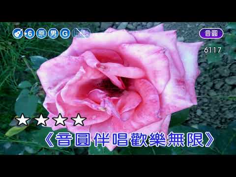 望春風~陳雷~男原G調~伴奏~導唱丙