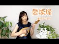 『愛燦燦/美空ひばり』をマンドリンで弾いてみた 歌詞付き mandolin cover