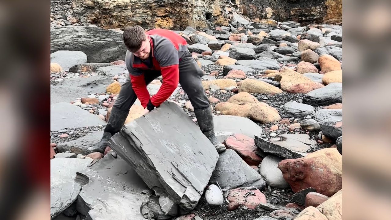 Fossils Hidden Beneath The Shale! Tonnes of Cool Finds! 