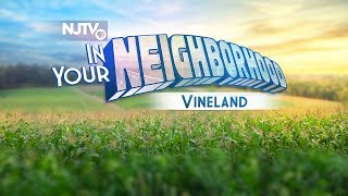 In Your Neighborhood Special: Vineland