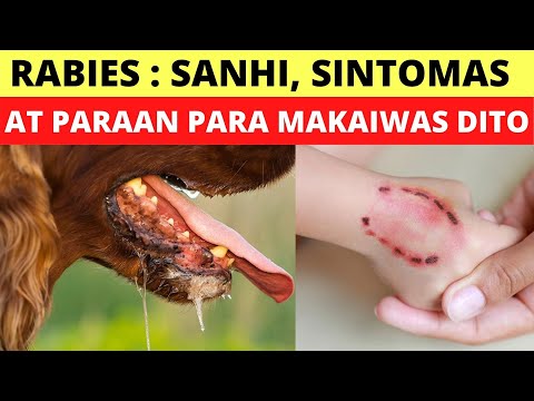 Video: Mga Batas Sa Rabies Ng Estado At Mga Madalas Itanong Tungkol Sa Rabies