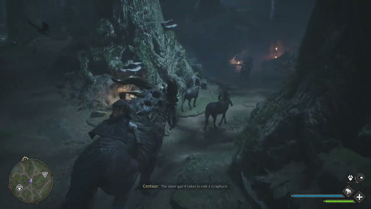 How Centaurs React To Graphorns - Hogwarts Legacy