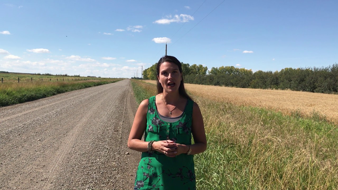 Tara Sawyer - Listening to Constituents: From the Carbon Tax to Small Businesses