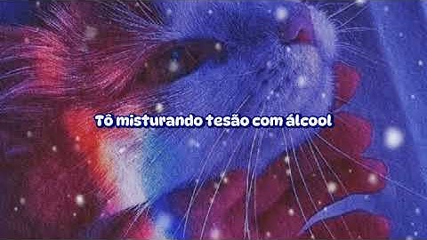 Anitta feat Livinho - Sem Freio (Letra)