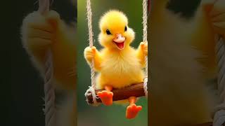 Мияв. Кукули Ку