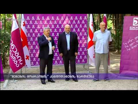 შორენა ბუხრაშვილის წარდგენა დიდი დიღმის მე-4 ოლქში