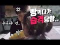 처음보는 아이에게 빵을 뺏겼습니다.