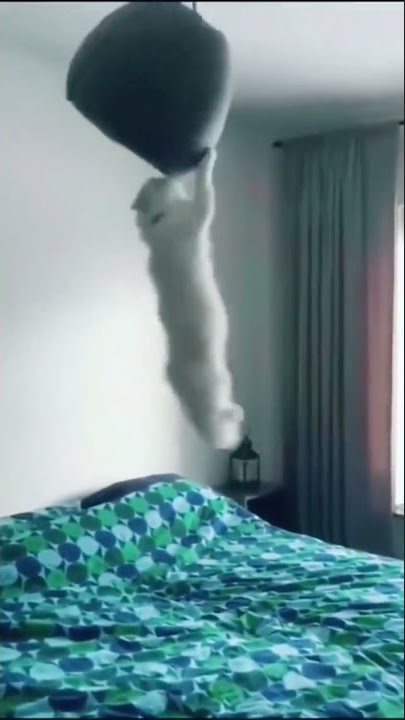 I believe I can fly i believe I can touch the Sky😅