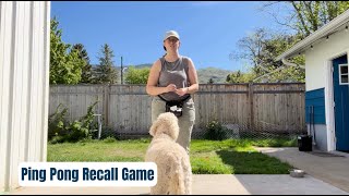 Ping Pong Recall Game