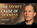 Healing the root cause of disease by awakening our biology of light  zach bush md