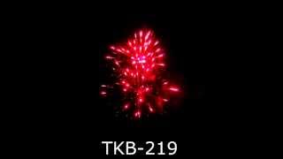 TKB 219