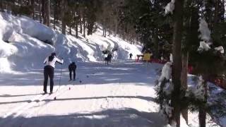 全国コース確認20130201