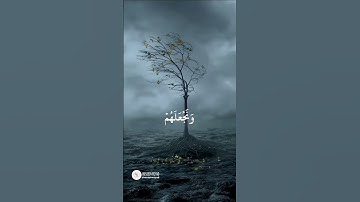 وَنُرِيدُ أن نَمُنَّ #سورة_القصص #المنشاوي #القرآن_الكريم #القرآن #المصحف #اكسبلور #حالات_واتس