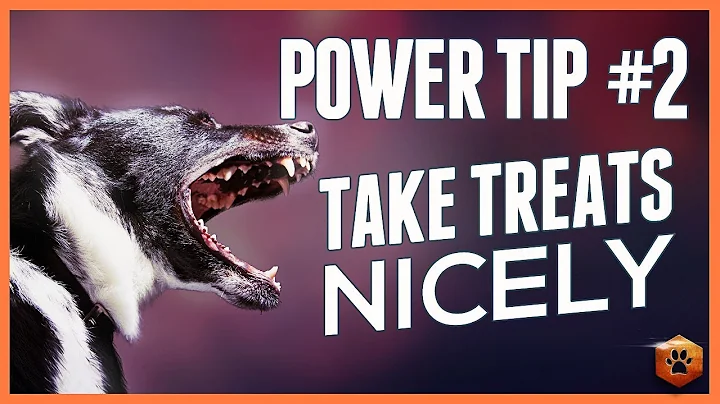 Taking Treats Nicely - Teach your Dog with Good Targeting, Power Tip #2!
