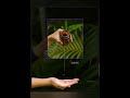 Created a Herbal product post for brands on social media DM for design work #GraphicDesigner