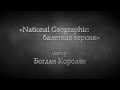 Богдан Королёк: «National Geographic: балетная версия»