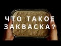 ЧТО ТАКОЕ ЗАКВАСКА ДЛЯ ХЛЕБА? Кто живёт в закваске и почему закваска поднимает хлеб / Антон Корнышов