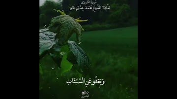 وهو الذي يقبل التوبة عن عباده/حلات وتساب من سورة الشورى /محمد حسين عامر 🌹🌹
