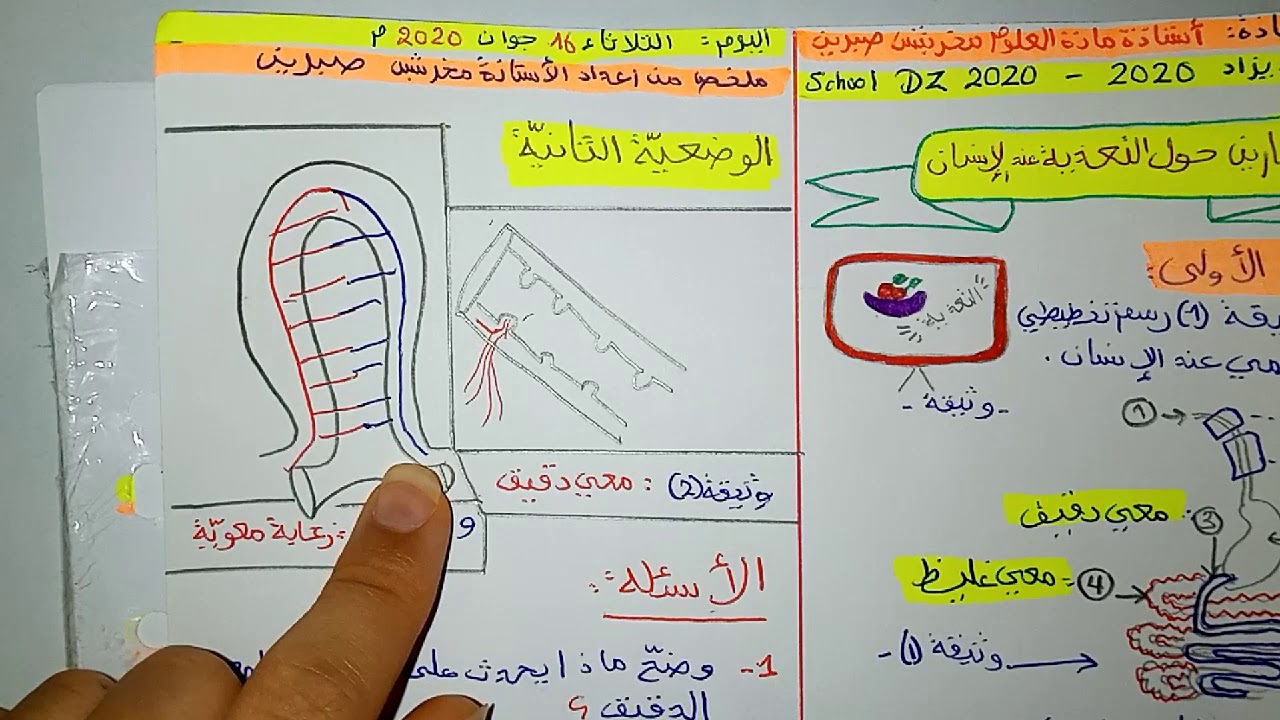 حل الوضعية الثانية - علوم - رابعة متوسط #bem 2020