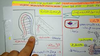 حل الوضعية الثانية - علوم - رابعة متوسط #bem 2020