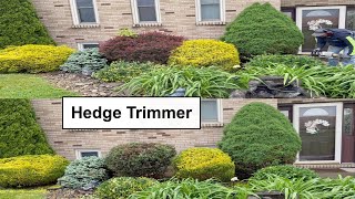 Landscape Maintenance - Trimming