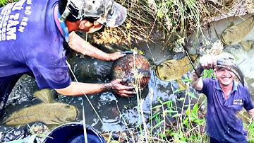Tát Mương Bắt Cá Nướng Chui Giữa Đồng Vừa Ăn Vừa Ngắm Hoàng Hôn | Tư TèoVlog #45