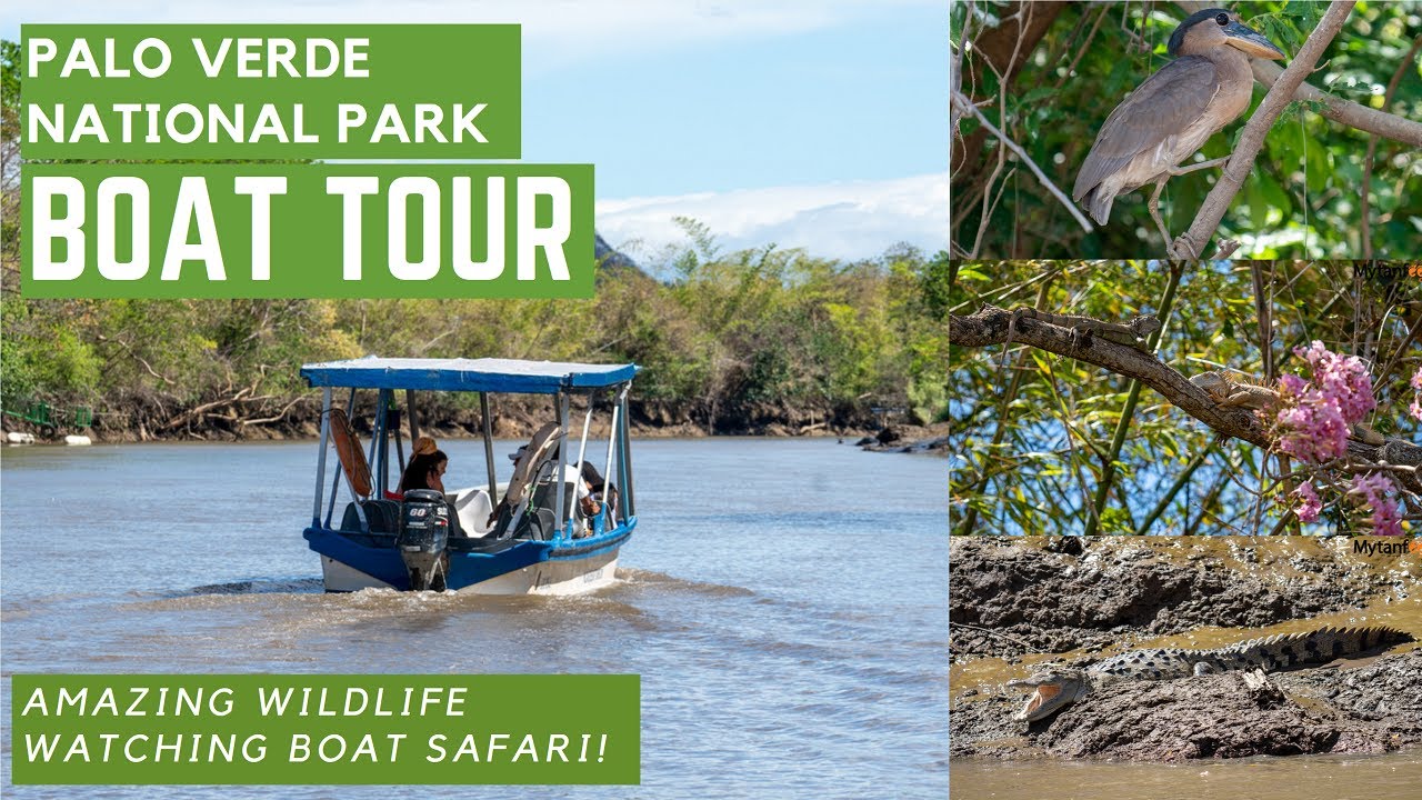 palo verde wildlife boat tour