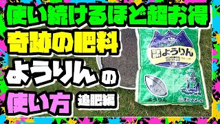 【肥料の使い方】『ようりん』使うほど超お得!! 一石百鳥!! 奇跡のミラクル肥料を使いこなす方法