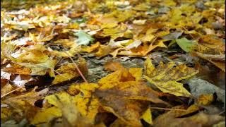 Smooth Instrumen 2025