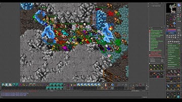 Tibia Morta Retro PvP  Action on New Warzones