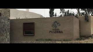 TERRENO CIENEGUILLA EN FUNDO PRADERA