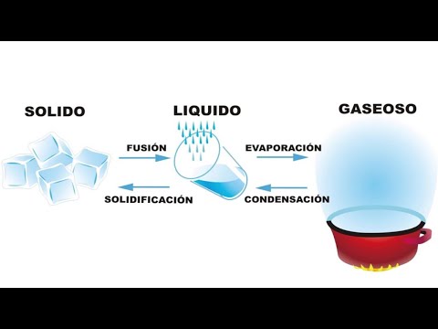 Video: ¿Cuáles son ejemplos de cambios de fase?