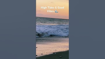 🏖️🏝️ High tides & good vibes #shortsviral #youtubeshorts #youtube #shortsvideo #trending #beach