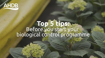 Top 5 Tips Before You Start Your Biological Control Programme
