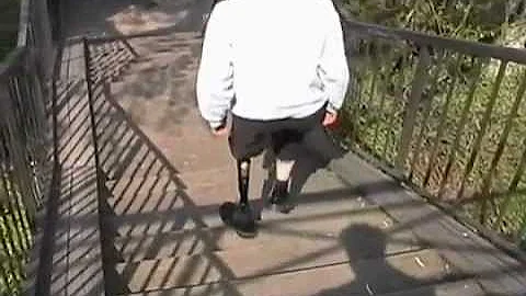 Nabtesco Hybrid Knee.mp4