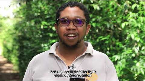 Forest Watcher | Monitor areas of interest, view deforestation and fires alerts, navigate ...