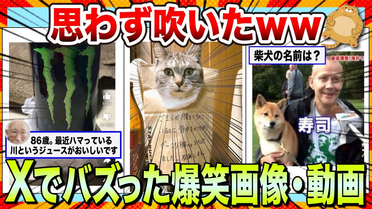 【🔥爆笑】ツッコミどころ満載なXでバズり散らかした爆笑画像＆動画まとめwww【2ch】【5ch】【ゆっくり解説】【コメ付き】【面白画像】