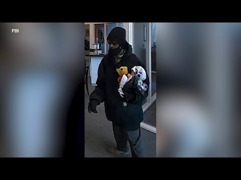 Fbi Searching For Violent Bank Robber Known As 'Stuffed Bear Bandit'