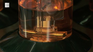 Paola Arlotta: Sequencing brain organoids