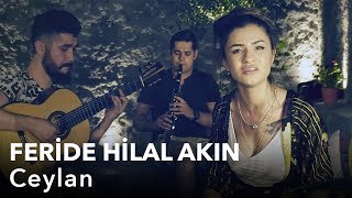 Feride Hilal Akın - Ceylan Resimi