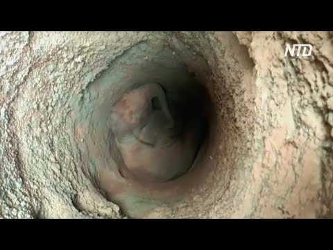Как в Индии спасали слонёнка, провалившегося в колодец