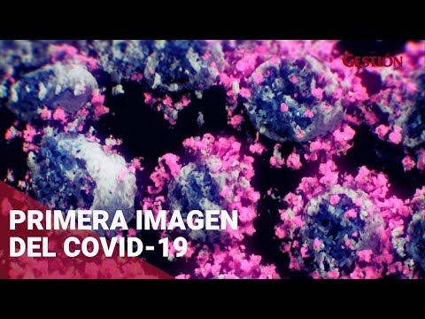Vídeo: Cómo Se Inventó La Famosa Imagen Del Coronavirus - Vista Alternativa
