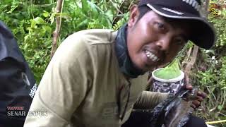 Astaga!!! Ikannya makin mengganas lawan joran si pemancing #SG-246